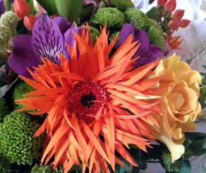 Wonderful bright flowers and Scruffy Gerbera